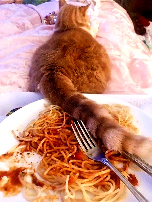 peachtoot.plz instagram image archive image