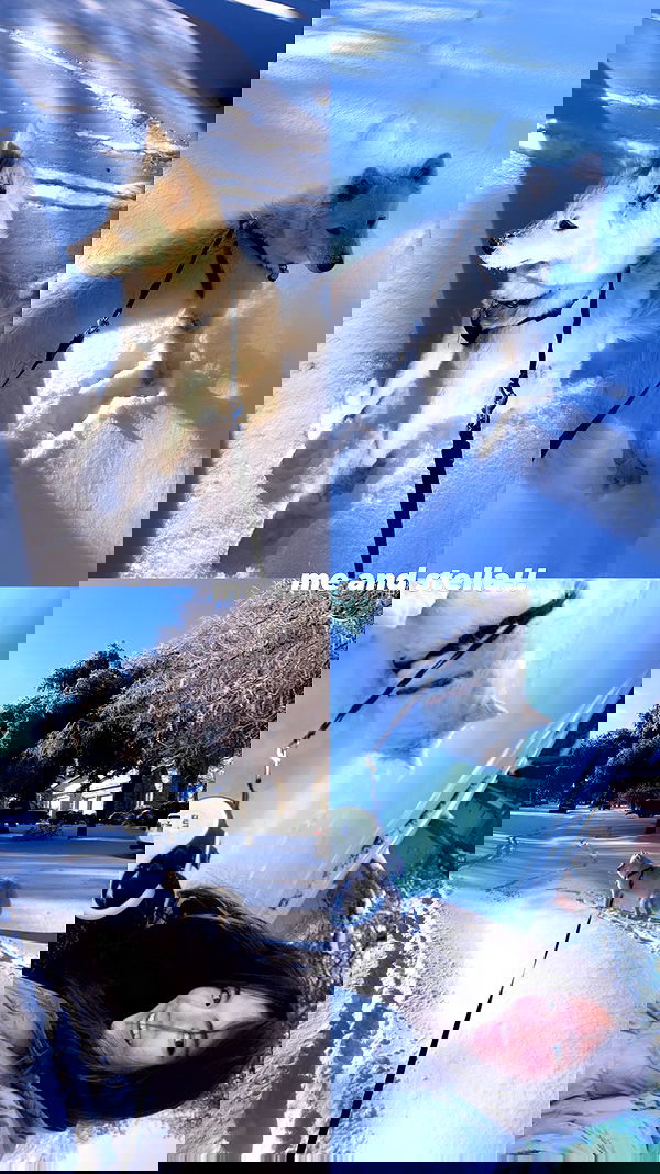 thelizzyporter thelizzyporter archive image