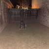 carmaxlla Altpins Profile Picture