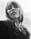 wmag Altpins Profile Picture
