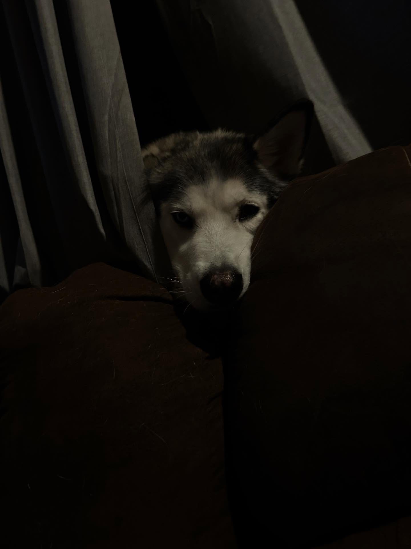 _animechika_ instagram image archive image