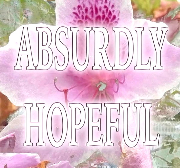 n.oynoynoynoy instagram image archive image