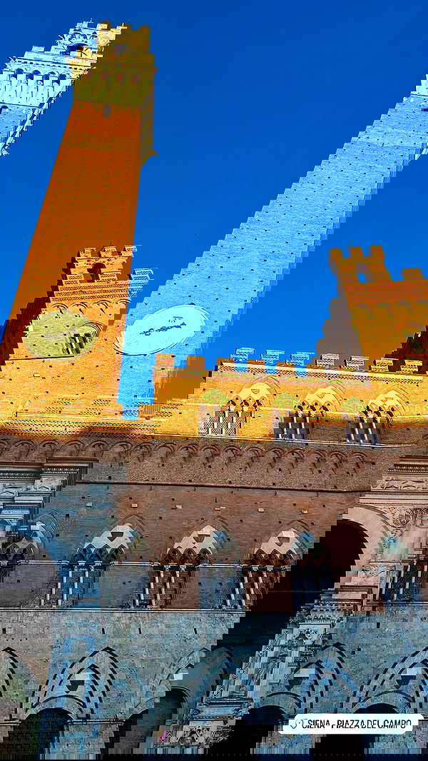 taylor.creeden taylor.creeden archive image