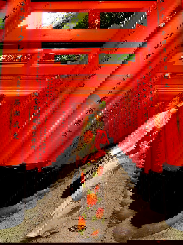 taylor.creeden taylor.creeden archive image