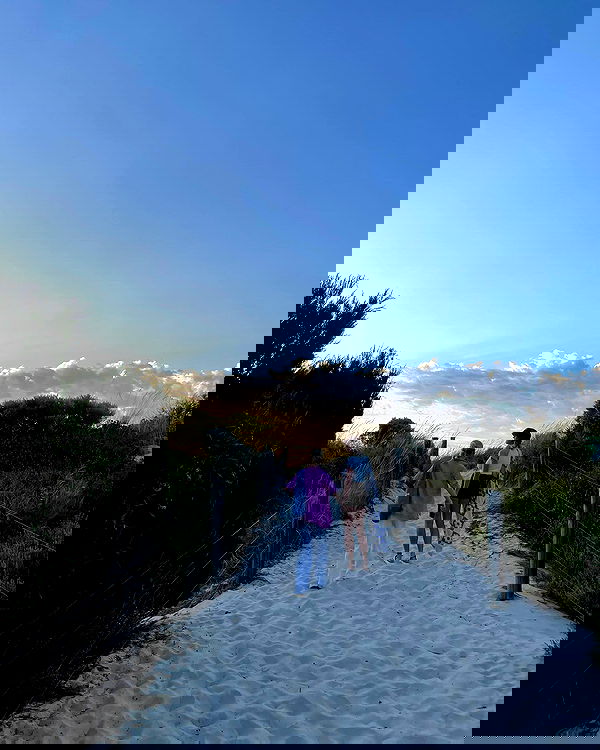 jtilb2 image ~ Altpins