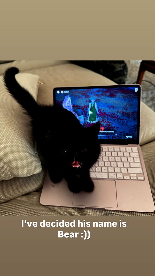 Archived image from @mewisa on Instagram