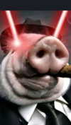 howeversnowy Altpins Profile Picture