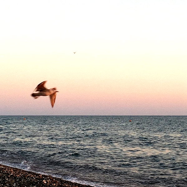 liiin.sun instagram image archive image