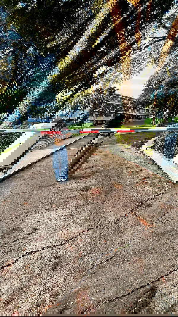 mosssaico mosssaico archive image