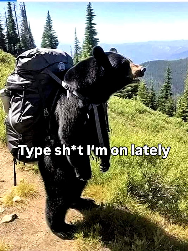 milkibunshehe instagram image archive image