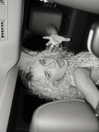 sabrinacarpenter Altpins Profile Picture
