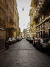 biton__adi Altpins Profile Picture