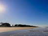 daisy_r_19 Altpins Profile Picture