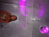 elizabethcampbelljones Altpins Profile Picture