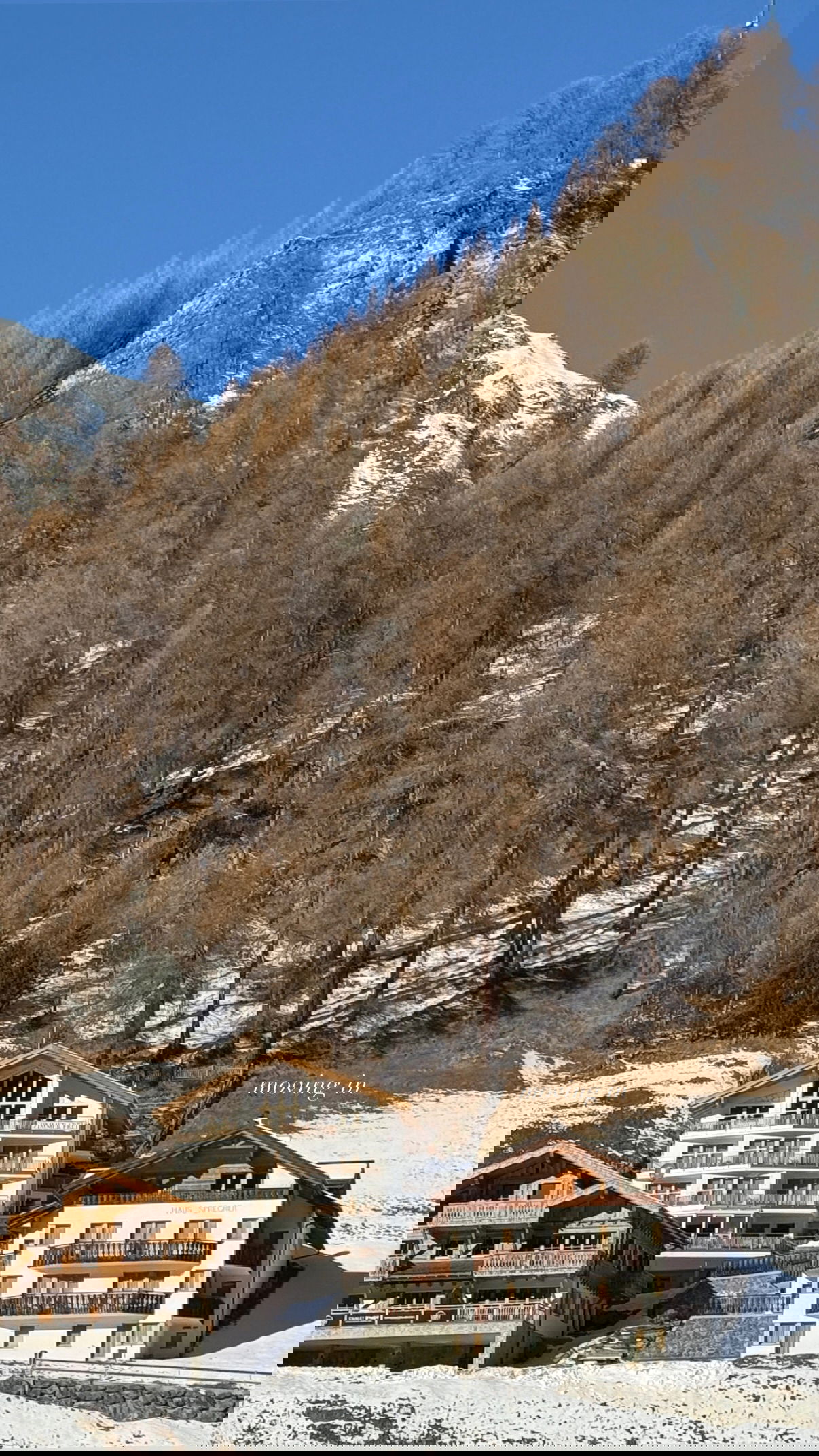 victoriaturnerr instagram image archive image