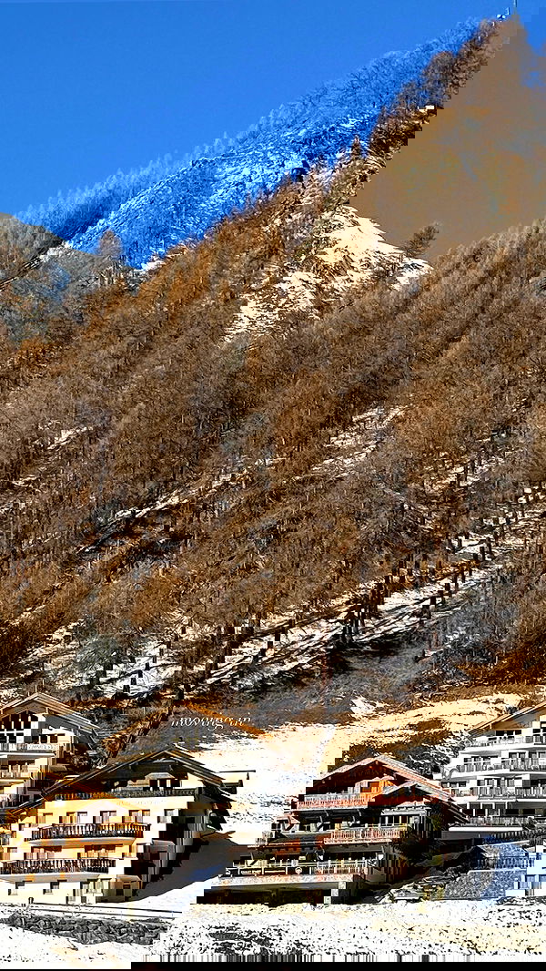 victoriaturnerr image ~ Altpins