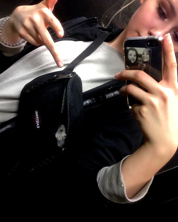 lilih instagram image archive image