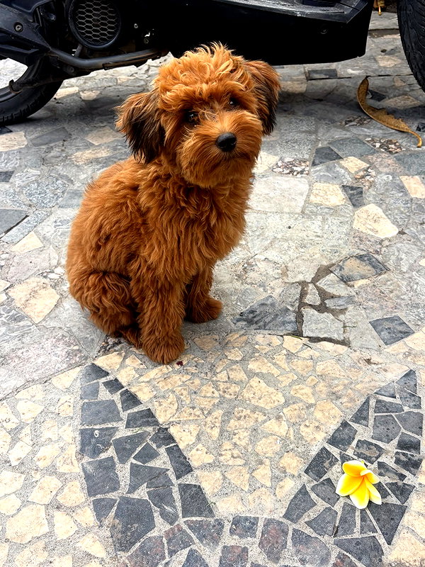 niisadurmaz instagram image archive image