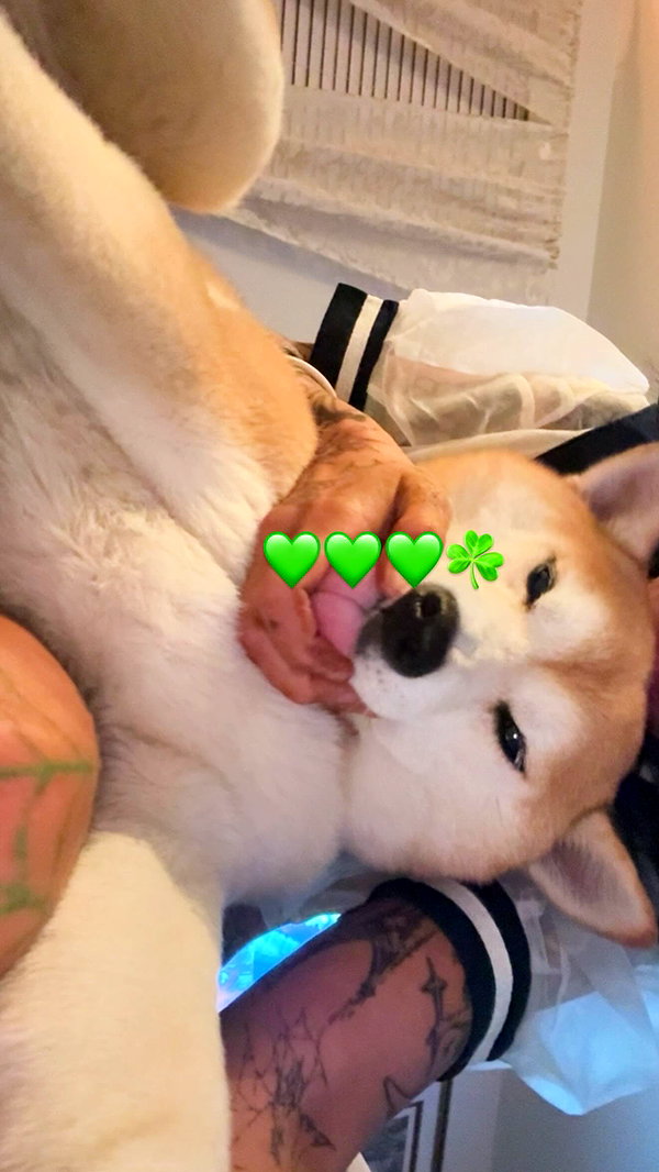 zommmbri instagram image archive image