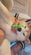 zommmbri Altpins Profile Picture