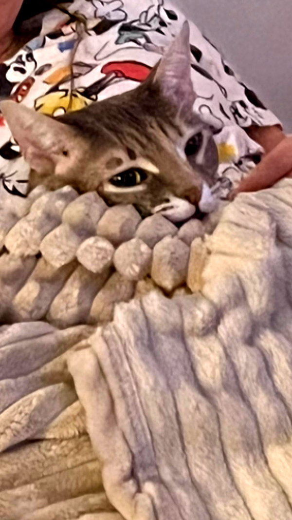 Archived image from @notchicore on Instagram