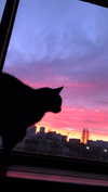 tiny.eviluv Altpins Profile Picture