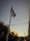 _femalien Altpins Profile Picture