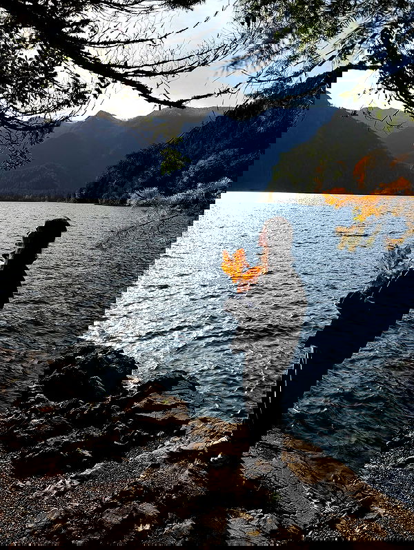 taylor.creeden taylor.creeden archive image