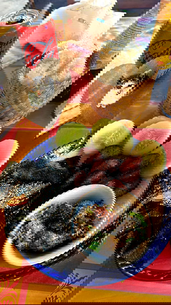 yam_adler yam_adler archive image