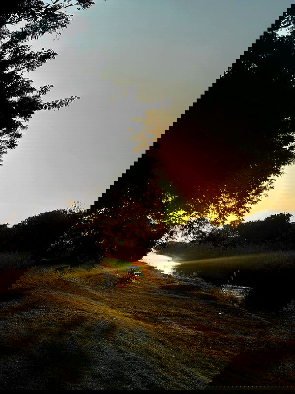 mishel116 mishel116 archive image