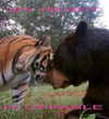 mariagabrielasantos Altpins Profile Picture