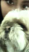 violetpau_ Altpins Profile Picture