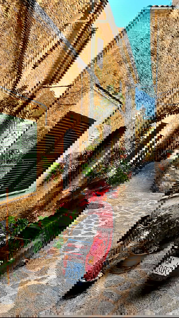 taylor.creeden taylor.creeden archive image