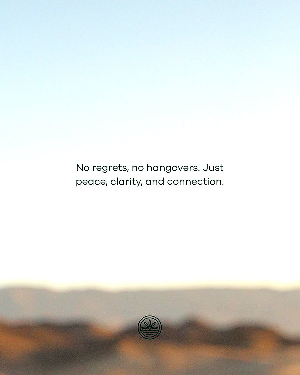 myhippiewater instagram image archive image