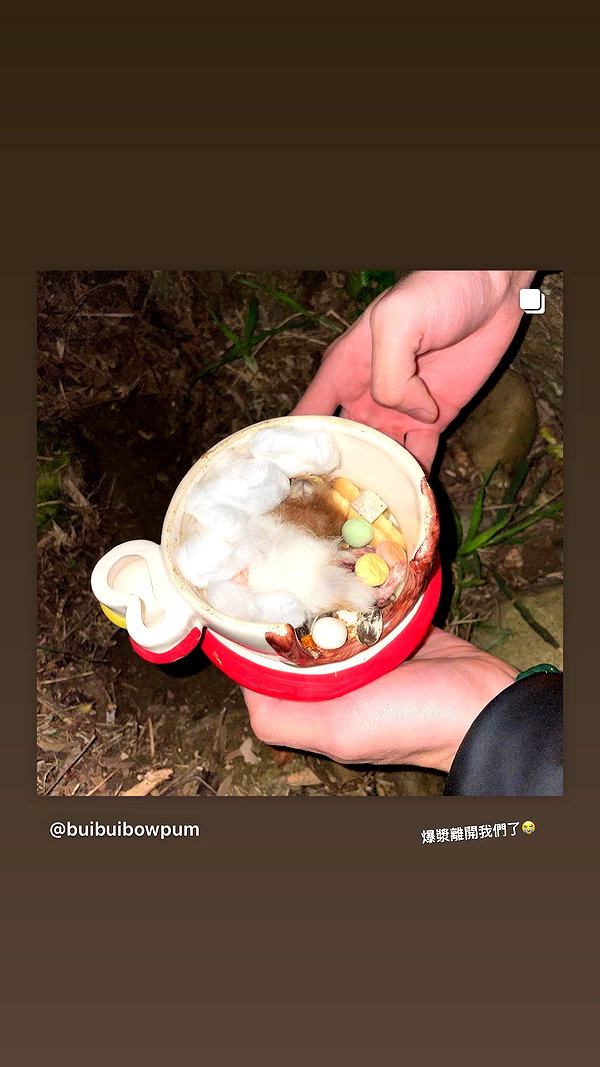 jiw_____n instagram image archive image