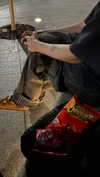 vvelum_ Altpins Profile Picture