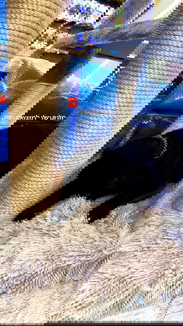 mishel116 mishel116 archive image