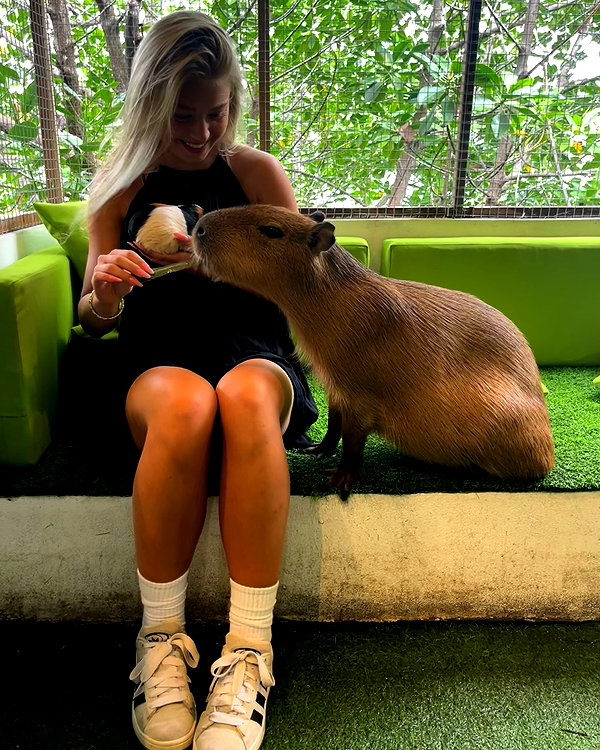 danamrts instagram image archive image