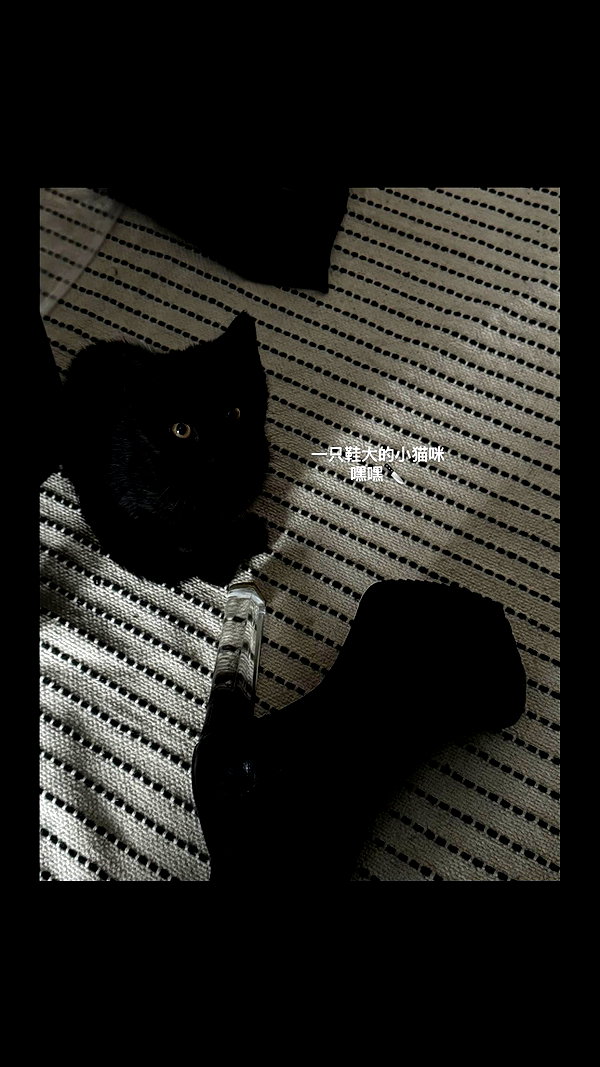 chuihon_ instagram image archive image