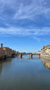 federica.piccinni Altpins Profile Picture