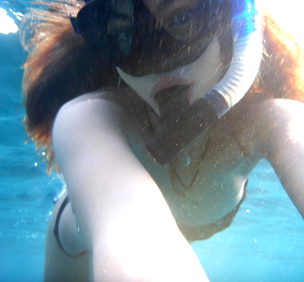 taratornquist instagram image archive image