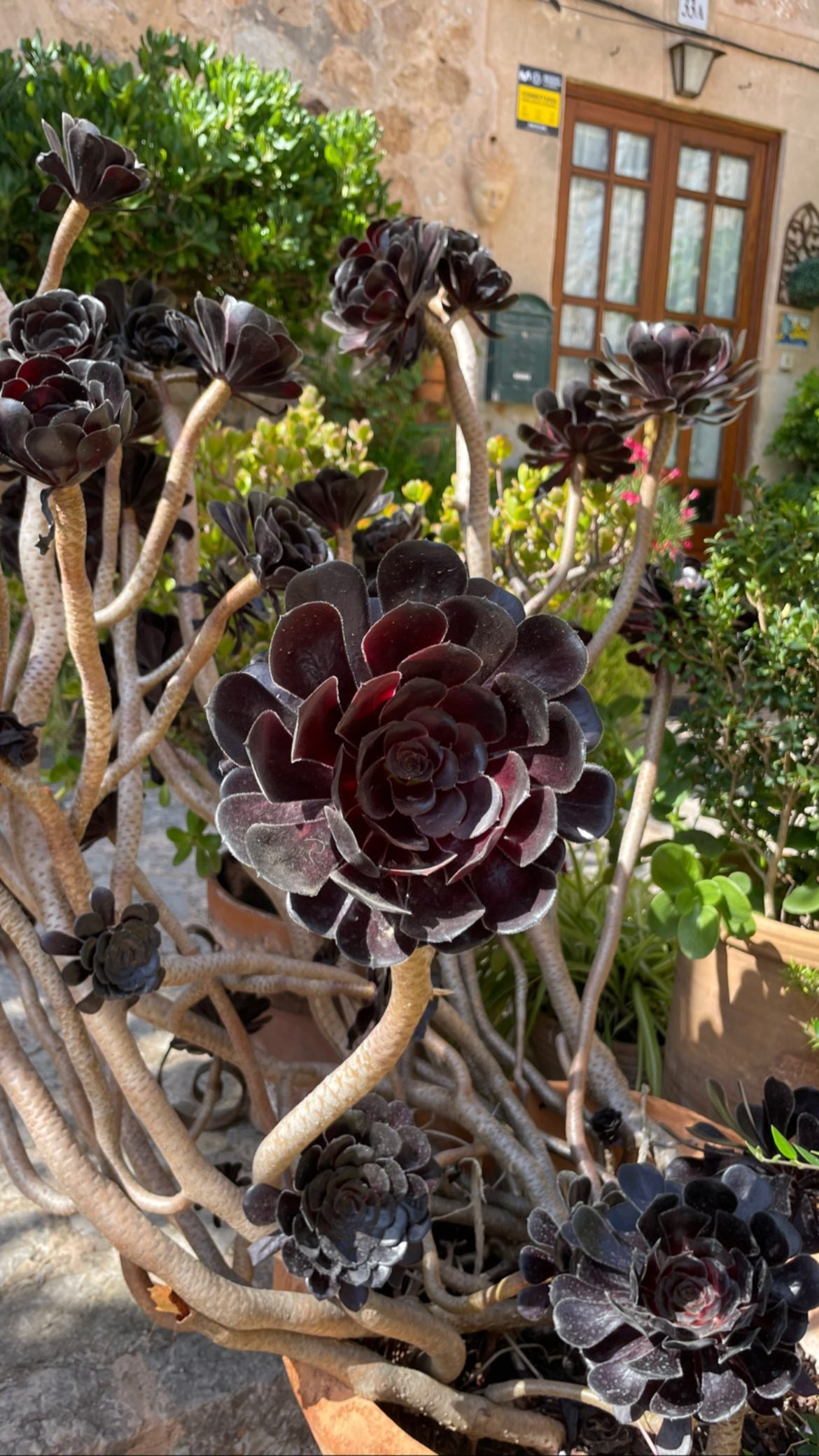 shunli__mei instagram image archive image