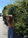 kyla.doddsss Altpins Profile Picture