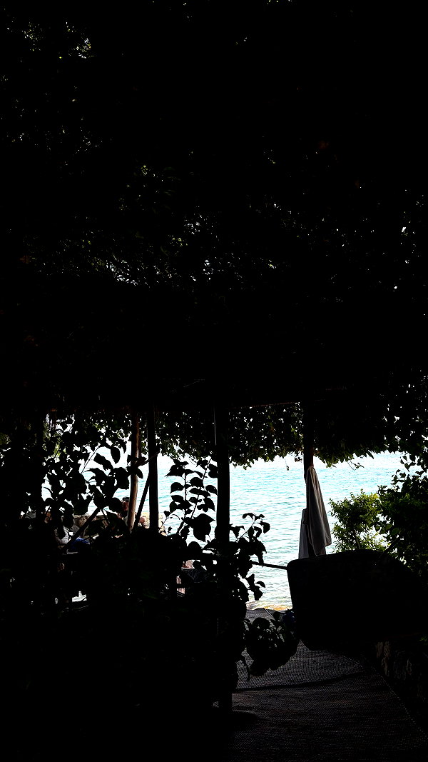 rominergaon_ rominergaon_ archive image