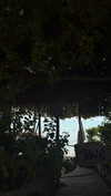 rominergaon_ Altpins Profile Picture