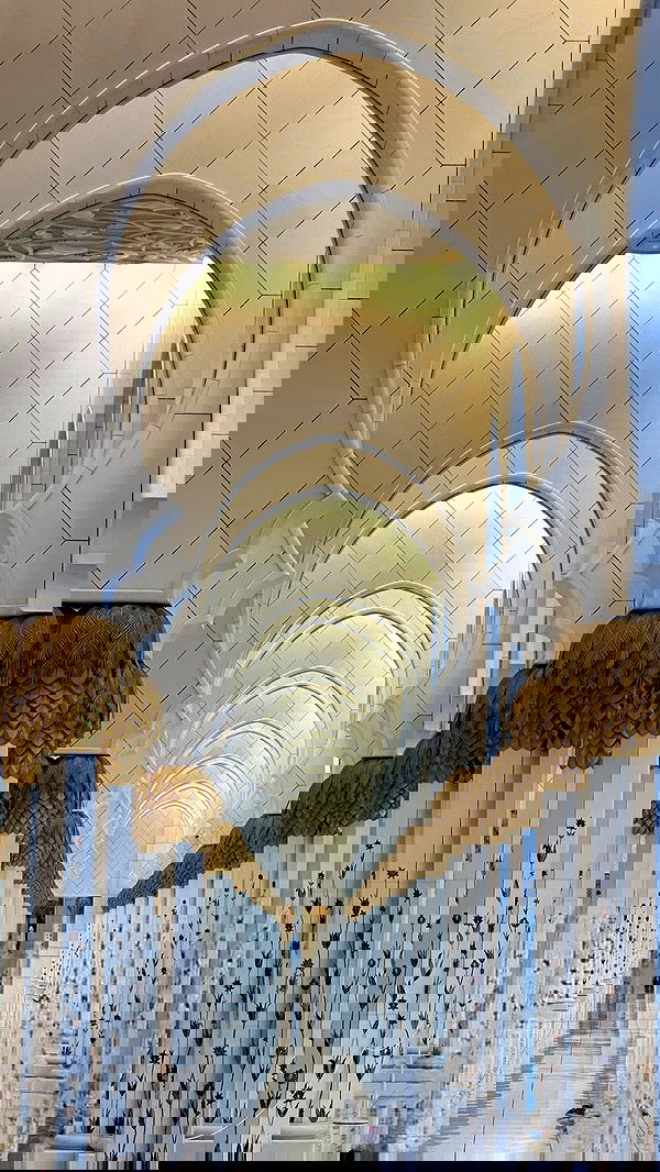 taylor.creeden taylor.creeden archive image