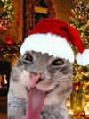 milkiwifey Altpins Profile Picture