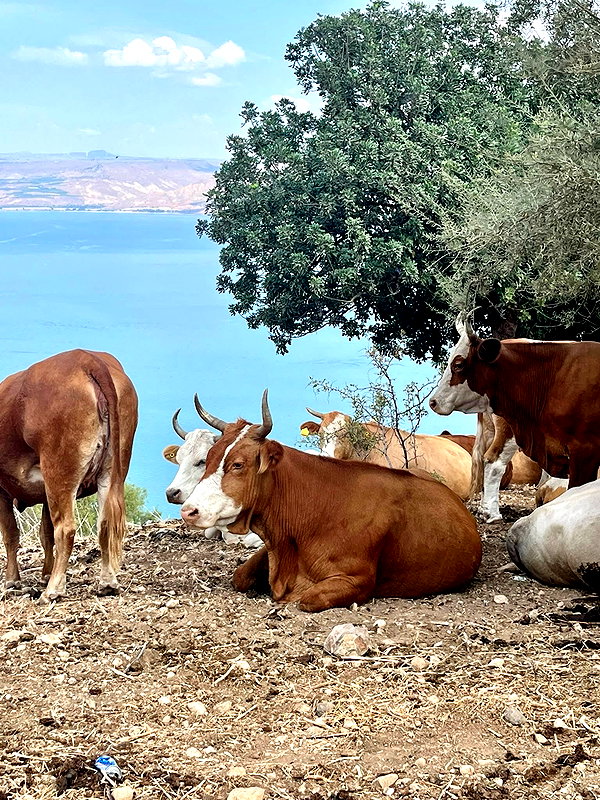 yaarat11 instagram image archive image