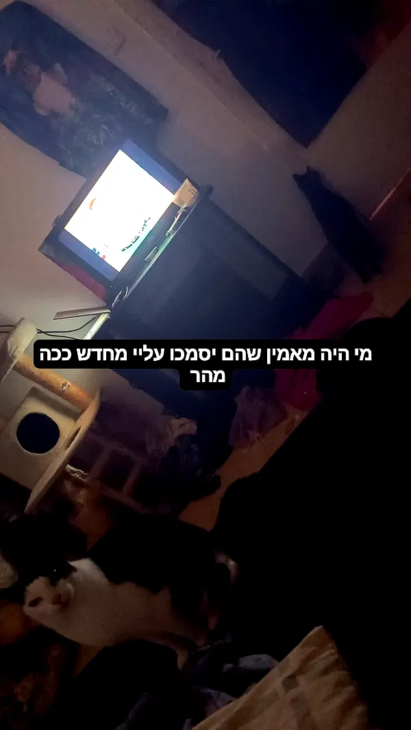 moonyyyya moonyyyya archive image