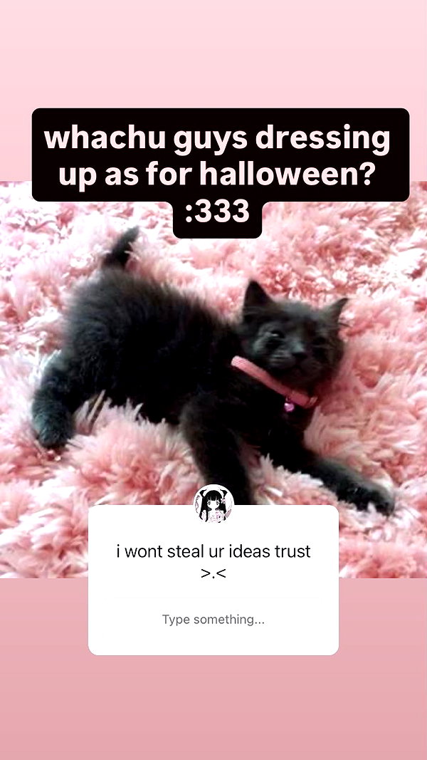 Archived image from @meowwmaxxer on Instagram